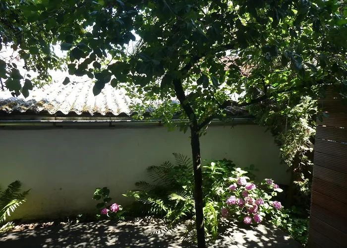 Abc Ferienwohnungen Atelierwohnung F